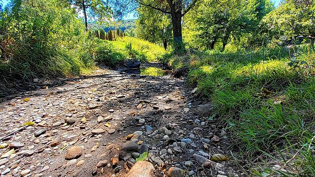Der Gießenbach ist ausgetrocknet. Nur eine kleine Pfütze leistet auf diesem Bild noch Widerstand.