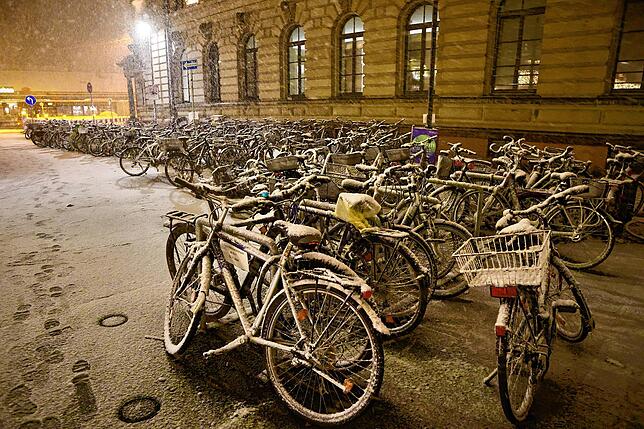Bild 10: Hallo Winter! Die schönsten Bilder aus dem schneebedeckten Konstanz