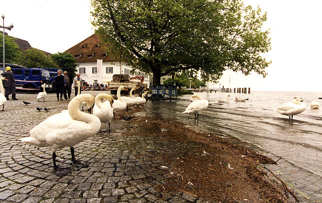 ... und machen es sich dort gemütlich, wo sonst Spaziergänger unterwegs sind.