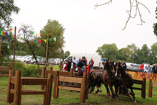 Bild 25: Bilder vom Marathon der Vierspänner beim Reitturnier in Donaueschingen