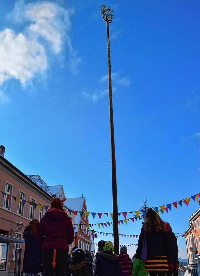 Bild 3: Bilder von der Narrenbaumaktion der Stockacher Zimmerergilde am Schmotzigen Dunschtig: Jetzt ist der Baum der Stammbaum aller Narren