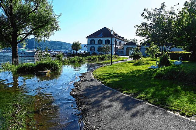 Der Weg beim Rathaus (Hintergrund) im Schlösslepark bei 492 Seepegel, inzwischen kam noch mehr Wasser.