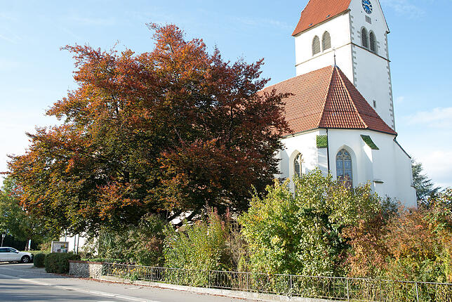 Um die Kirche gibt es schöne Grünbereiche. Schön wäre, wenn diese mehr geöffnet würden.