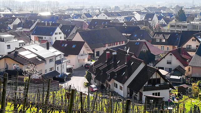 Die historische Ortsmitte des Rheinfelder Ortsteils Herten vom Rebberg aus gesehen. Sie soll vor Veränderungen geschützt werden. Foto: ...