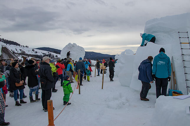 Bild 12: Eiskalte Kunst entsteht beim dritten Schneeskulpturenfestival in Bernau