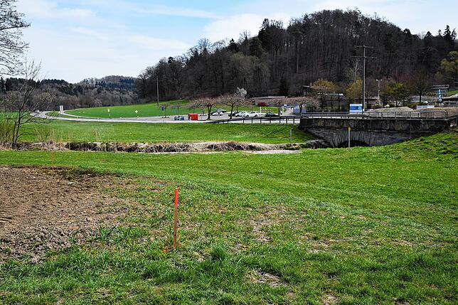 Die L 194-Brücke muss abgerissen und ersetzt werden. Die Pfosten zeigen, wo in etwa die Ersatzfahrbahn während der Arbeiten sein wird.