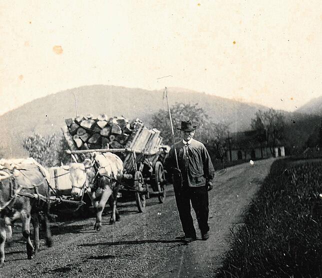 Holzfuhrwerk Mitte der 1930er Jahre auf dem Weg aus der Wehraschlucht unterhalb der Wolfgangskapelle: Der Fuhrmann hatte Scheitholz ...