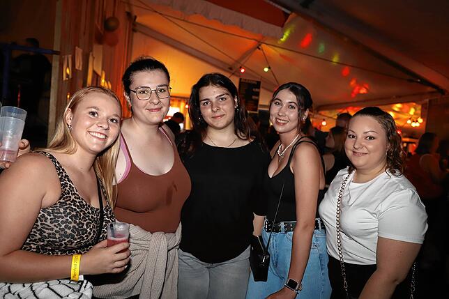 Bild 2: So war die Stimmung beim Aach-Linzer Weinfest