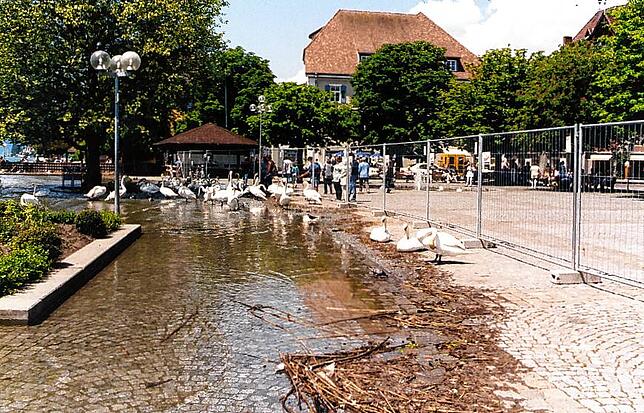 Land(ungsplatz) unter: In Überlingen tritt der Bodensee über die Ufer und überschwemmt einen Teil der Promenade. Wo sonst Spaziergänger ...