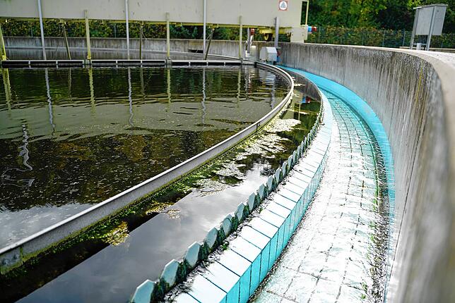 Jetzt ist das Wasser wieder klar: Das fertig gereinigte Wasser kann endlich in die Wutach fließen. Wenn es kaum regnet, ist das Abwasser ...