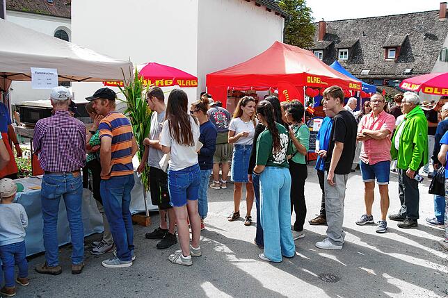 Bild 7: Buntes Programm beim 40. Öhninger Dorffest