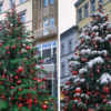 Der Weihnachtsbaum auf der Konstanzer Marktstätte. Ob er diese Weihnachten auch mit Schnee bedeckt sein wird?