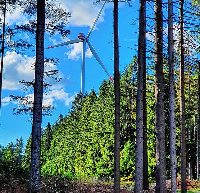 So könnte ein Windrad auch von den Waldwegen am Gehrenberg aus sichtbar sein, sollten oberhalb von Markdorf tatsächlich Windkraftanlagen ...