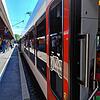 Der Seehas am Gleis 5 in Radolfzell. In den Zügen gibt es neuerdings eine neue Durchsage, die vor Taschendieben warnt.