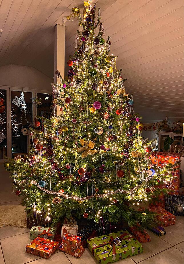 Lichterfüllende Momente: Der Baum von Familie Kopp, wenn es draußen dunkel ist.
