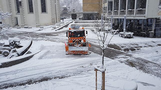 Bild 14: Die Stadt in weiß: Bilder aus dem verschneiten Friedrichshafen