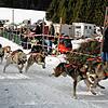 Ein solches Bild wird es dieses Jahr in Todtmoos nicht geben: Szene aus dem Schlittenhunderennen 2017.