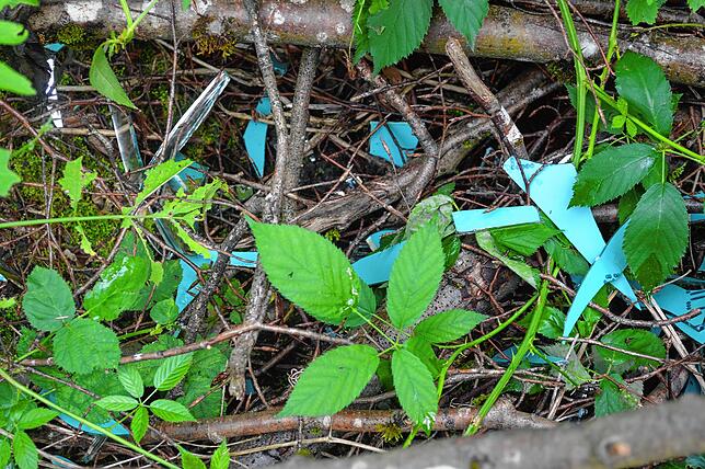 Haben im Wald nichts verloren: Glassplitter von Spiegeln können für Tiere wie Menschen gefährlich werden, da sie ein Verletzungsrisiko ...