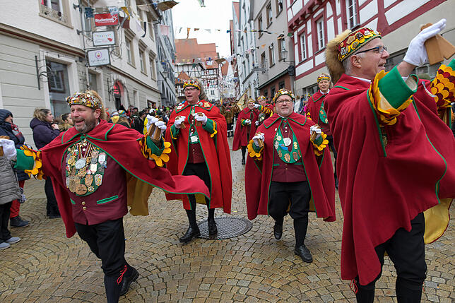 Bild 12: Tausende Hästräger und Musiker in Pfullendorf: Bilder vom Umzug (2)