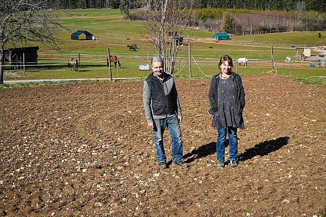 Gerhard Weber und seine Frau Gabi betreiben den Berghof auf der Tengener Höhe. Daneben (auf dem Bild) soll ein Solarpark mit drei Hektar ...