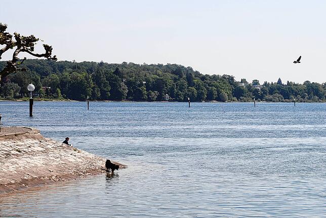 Bild 7: Erste Sommergefühle in der Stadt: So schön ist Konstanz im Wonnemonat Mai