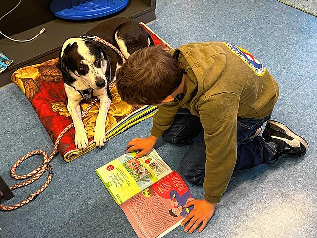 Hündin Villy bringt Schülern mehr Sicherheit beim Lesen. GMS Rheintal setzt auf den Vorlesehund.