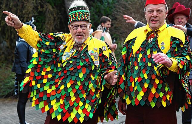 Bild 42: Fastnacht auf dem Schienerberg: Tausende feiern den Höriumzug mit kreativen Mottos
