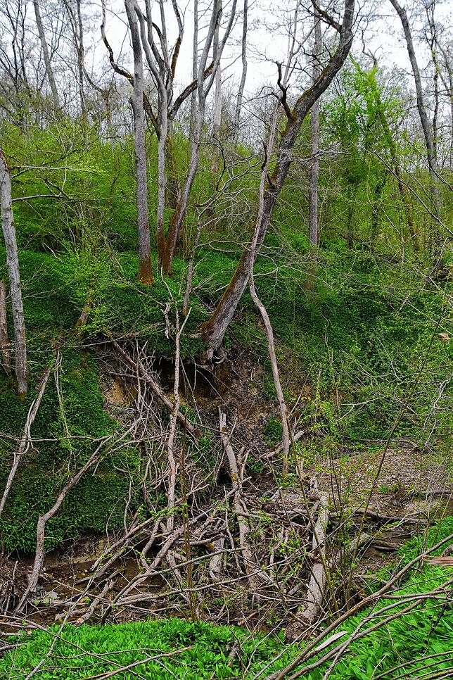 Starkregen führte in der Klingenbachschlucht zu Hangrutschen, Totholz bilden ungewollt Staudämme, die Wanderwege sind ruiniert.
