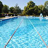Das Freibad Waldsht wird saniert. Das hat der Gemeinderat beschlossen.