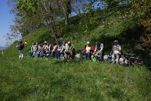 Bild 4: Hunderte Leser wandern die erste Genusstour auf der Hinteren Höri. Schicken Sie uns auch Ihr Wanderbild!