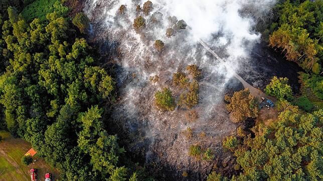In Großbritannien brennt ein Wald (Symbolbild). Auch im Radolfzeller Stadtwald hat die Brandgefahr zuletzt zugenommen.