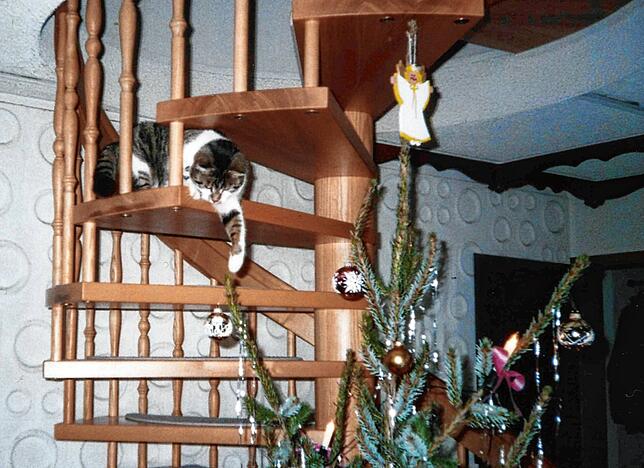 Kater Pit auf der Wendeltreppe kann es nicht lassen: Er angelt nach Christbaumkugeln.