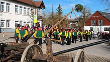 Bild : Die besten Bilder vom Stellen des Jubiläumsbaums durch die Froschzeller Holzer