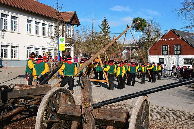 Bild 1: Die besten Bilder vom Stellen des Jubiläumsbaums durch die Froschzeller Holzer