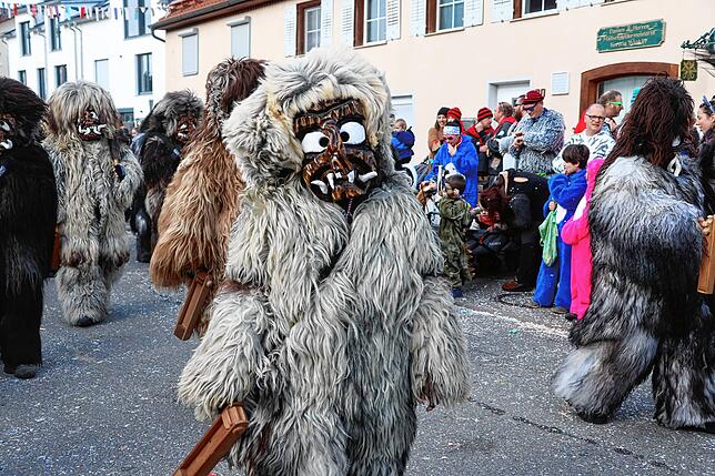 Bild 3: So bunt war der große Umzug beim Seenarrentreffen in Allensbach 2024 &ndash; Teil 2