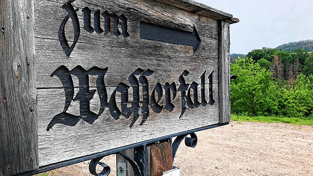Corona hat die Wanderlust bei vielen Leuten auch in der Region geweckt. Nun sollen vier neue Wanderrouten in und um Waldshut-Tiengen ...