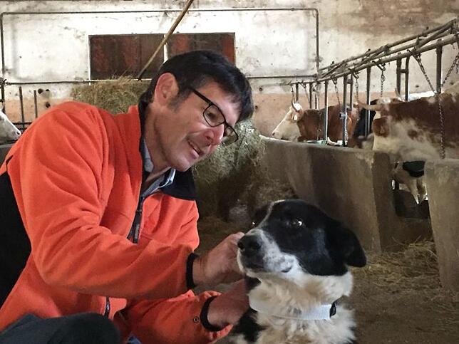 Martin Wikelski, Direktor des Max-Planck-Instituts für Ornithologie besendert den Hund auf einem Bauernhof in Visso (Italien), um ...