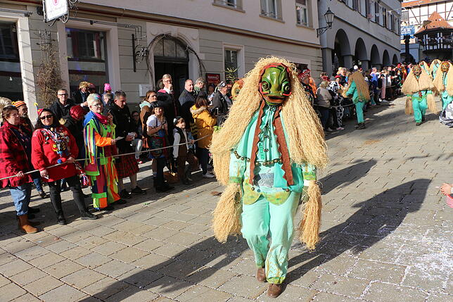Bild 9: So schön war der Fasnetmäntig-Umzug in Pfullendorf (3)