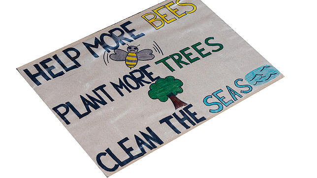 Helft den Bienen, pflanzt mehr Bäume und macht die Meere sauber: Ein &bdquo;Fridays for Future&ldquo;-Plakat Anfang August, anlässlich ...