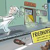 Friedlich schlafen? Dem Song "Friedhofshafen" zufolge in Friedrichshafen kein Problem.