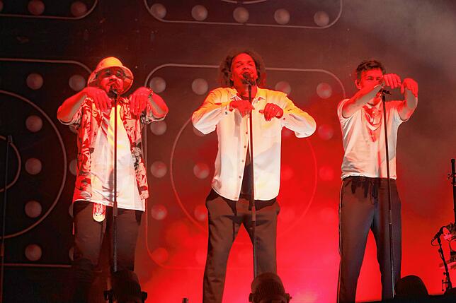 Bild 8: Southside 2022: Bilder vom Konzert von Seeed am Samstag