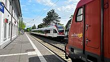 Der Seehas (links) und die Schwarzwaldbahn begegnen sich im Bahnhof Allensbach. Beim Qualitäts-Ranking von bwegt liegen die beiden Züge ...