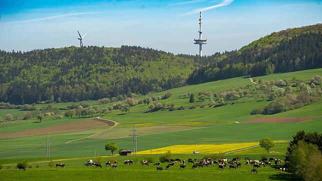 Das Singener Unternehmen Solarcomplex setzt seine Arbeiten auf der Länge fort und hofft, dass es den geplanten Windpark bald realisieren ...