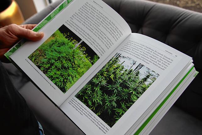 Echte Cannabispflanzen sind im Laden von Christopher Ölberg nur auf Bildern zu finden.
