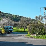 Hier soll es weiter gehen: Das Baugebiet Freiwiesle im Ortsteil Stahringen. Bisher prägen Steuobstbäume das Bild in der Ortsrandlage. ...