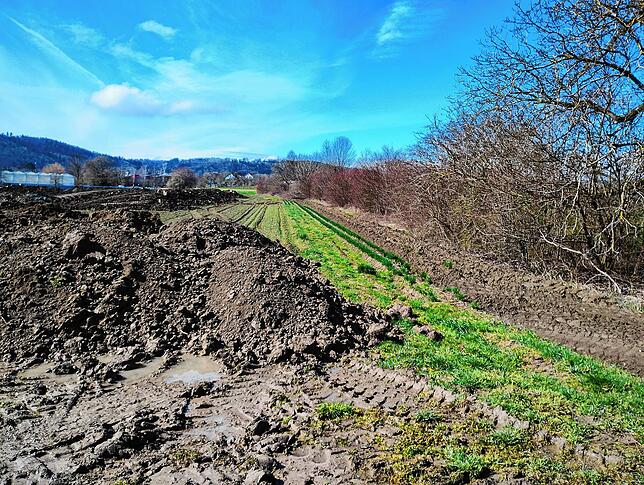 Am Rand der großen Ackerfläche entstehen die 30 Parzellen des Nachbarschaftsgartens. Jede Parzelle misst rund 50 Quadratmeter.