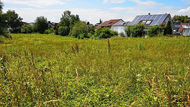 Hier soll die neue Grundschule in Markdorf-Süd gebaut werden. Das Grundstück an der Ensisheimer Straße liegt in direkter Nachbarschaft ...