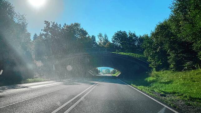 Die Wildwechselbrücke auf der B31 zwischen Stockach und Überlingen im Oktober 2023. Einige Monate lang war hier ein auffälliger ...