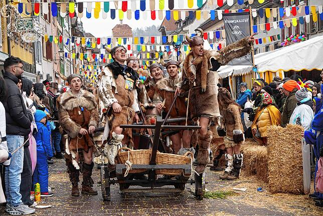 Bild 13: Narren, Kostüme und Stimmung: Die Highlights des Narrentreffens in Waldshut in Bildern