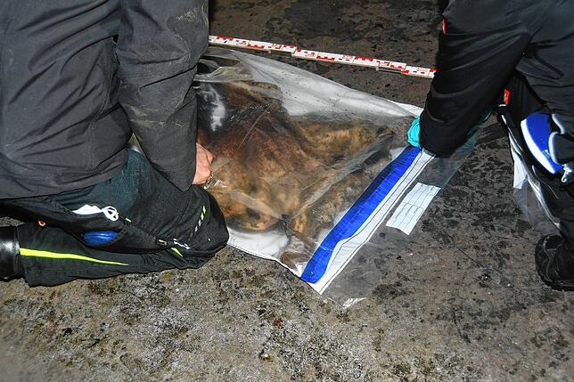 Polizisten sichern Spuren im Keller des Gebäudes. Das verkohlte Material wird sorgsam in Tüten verpackt.